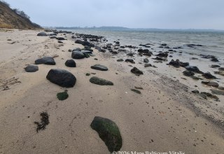 Mare Balticum Vitalis - Krachtwandeling // &copy; Mare Balticum Vitalis, Inh. Janine Hahn