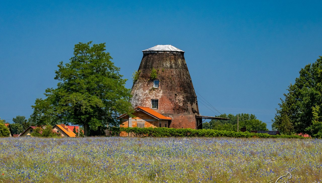 Holländerwindmühle Wolin, © Pomorze Zachodnie Holländerwindmühle Wolin, © Pomorze Zachodnie