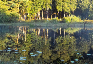 Naturschutzgebiet Mümmelkensee // © Naturpark Insel Usedom Naturschutzgebiet Mümmelkensee // © Naturpark Insel Usedom