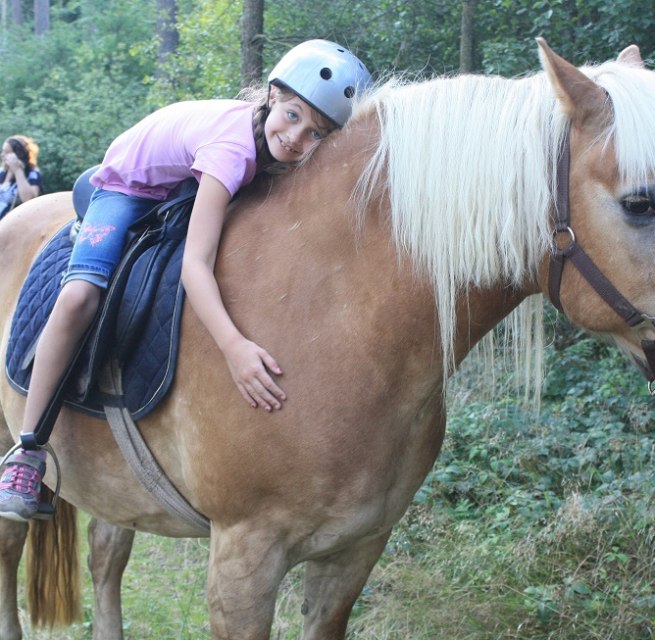 Für die Kleinen sind unsere Ponys die Größten- ruhig im Umgang, verlässlich und geländesicher. // © Waldhof Bruchmühle Für die Kleinen sind unsere Ponys die Größten- ruhig im Umgang, verlässlich und geländesicher. // © Waldhof Bruchmühle