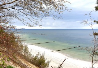 © 20210506_151112.jpg