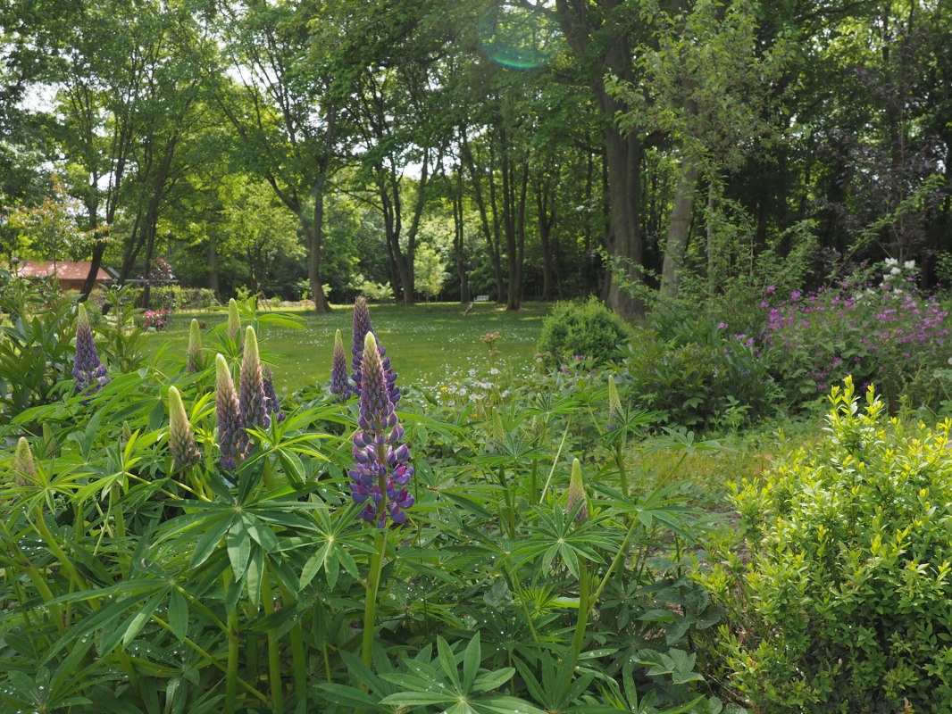 Blick in den Park // © Annelie Maiwald Blick in den Park // © Annelie Maiwald