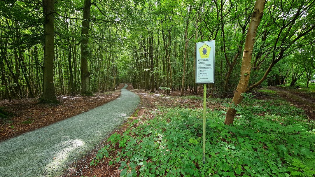 Die Stubnitz, © Landesforst MV