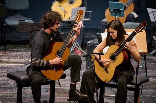Abbildung Gitarren // &copy; Fotograf Mirco Dalchow