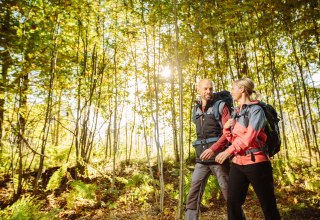 Wandern in der Rostocker Heide // &copy; TZRW_T.Roth