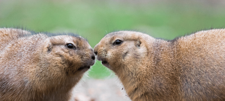 © Zoo Schwerin © Zoo Schwerin