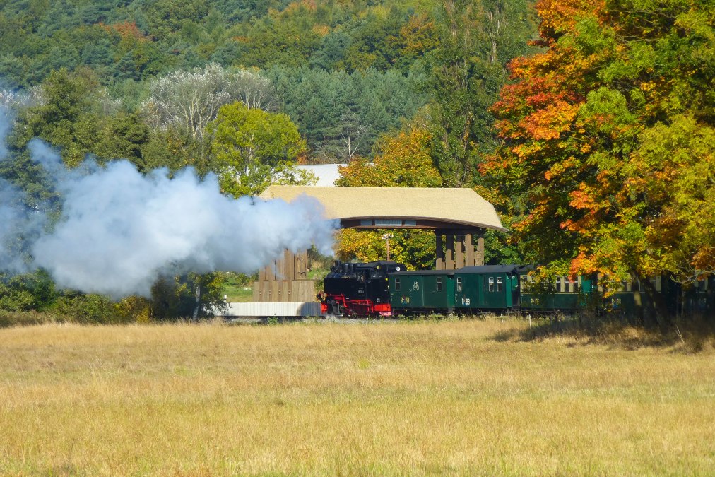 Baabe_Moenchguttor_Rasender-Roland_c_Gero-Schreiber, &copy; Gero Schreiber