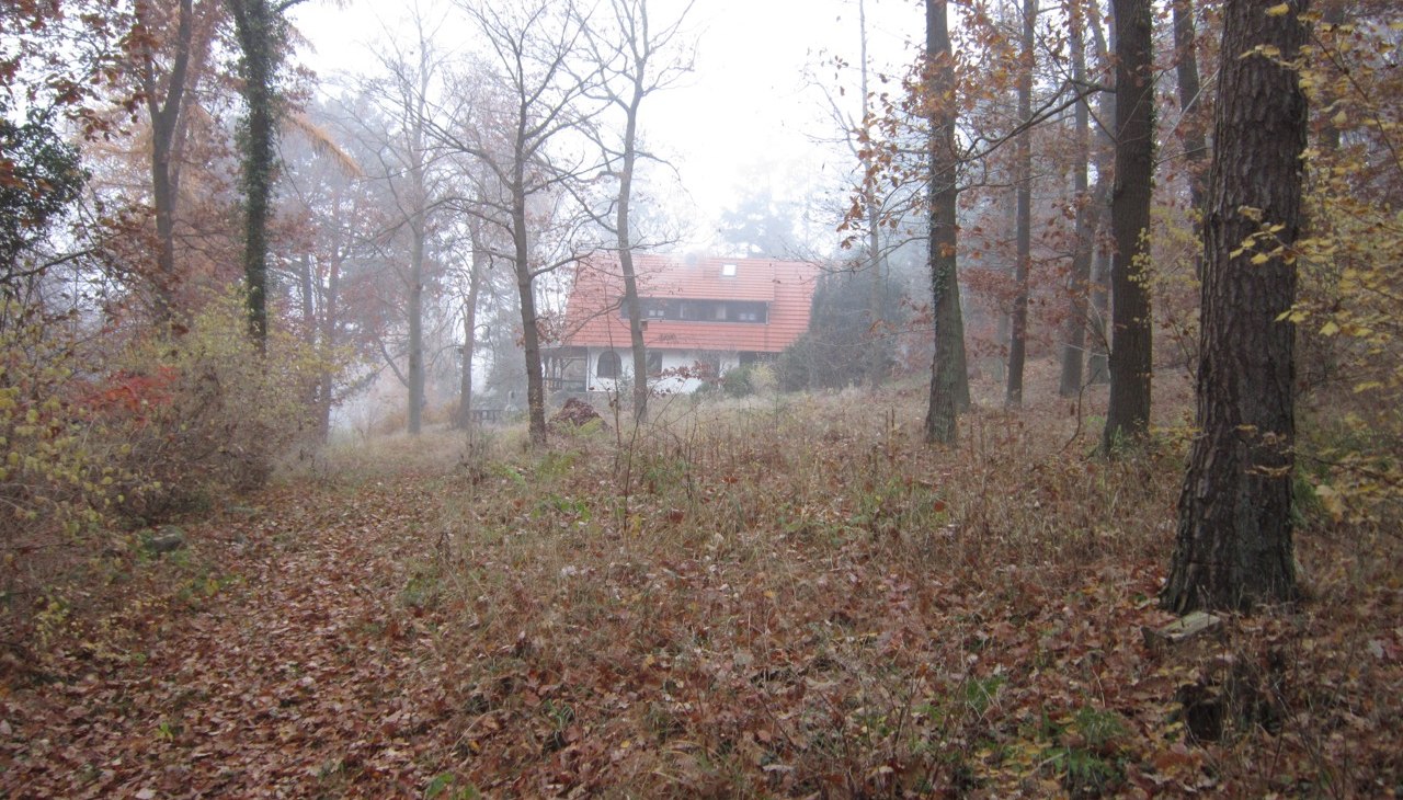 9000 m² Waldgrundstück, Blick auf das Haus im Herbst, © Bernhard Barth 9000 m² Waldgrundstück, Blick auf das Haus im Herbst, © Bernhard Barth