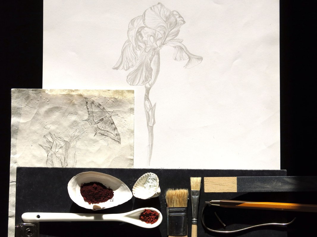 © Jana Plewa © Jana Plewa