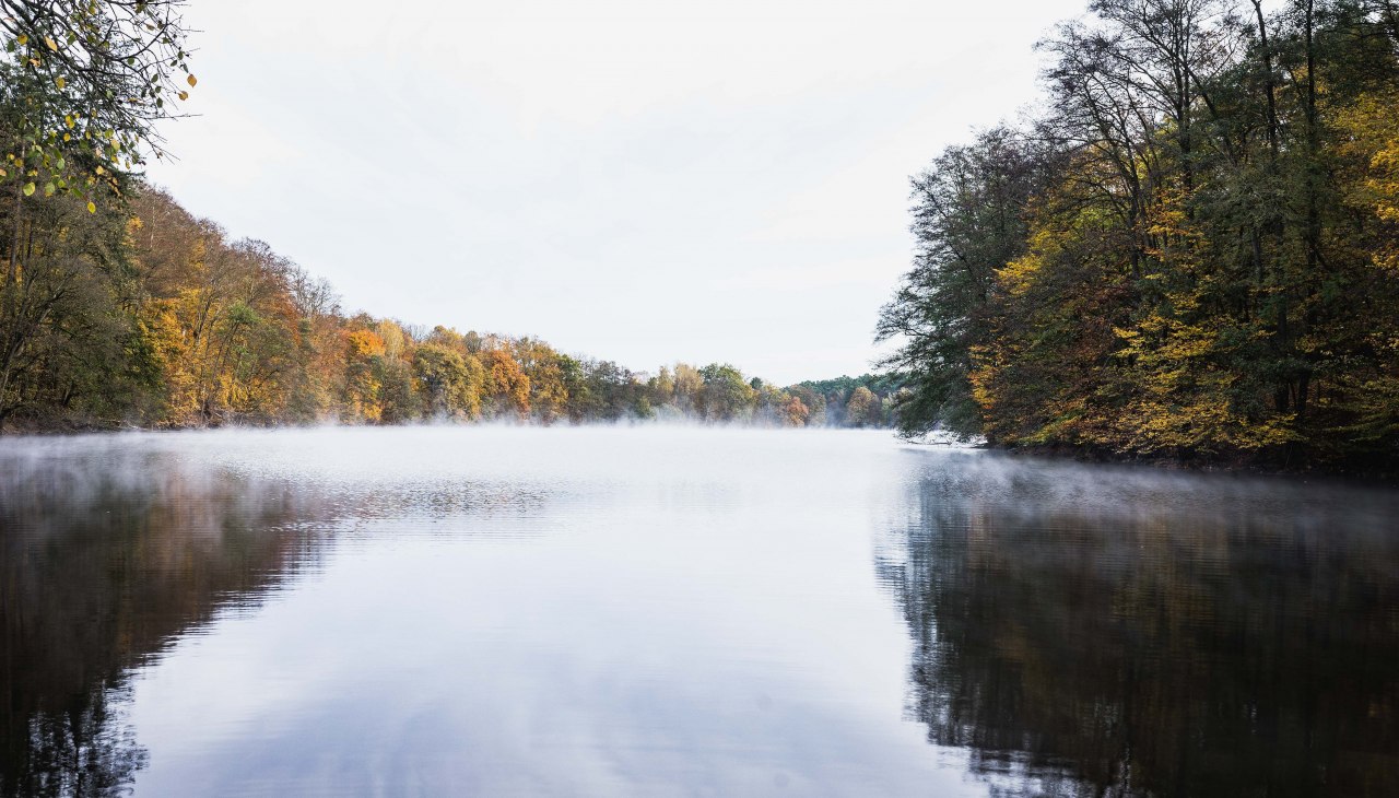 Ausbildung Pilzcoach, © Heike Brechler Ausbildung Pilzcoach, © Heike Brechler