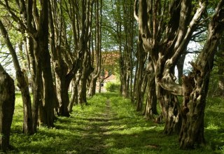 Waldpark Hessenburg // &copy; Hessenburg