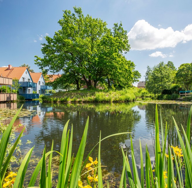 &copy; Feriendorf Fleesensee GmbH