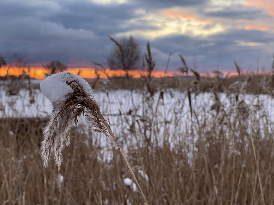 Am Wasserwanderrastplatz, &copy; TZ S&uuml;dliche Boddenk&uuml;ste
