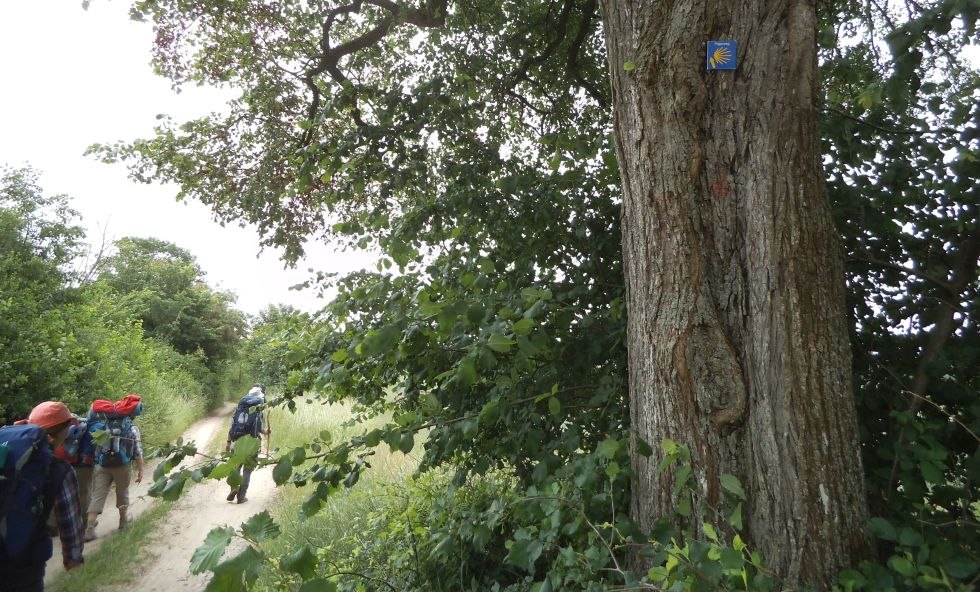 Stap voor stap op pelgrimstocht naar St. Birgitta // &copy; Archiv Ev.-Luth. Kirchenkreis Mecklenburg