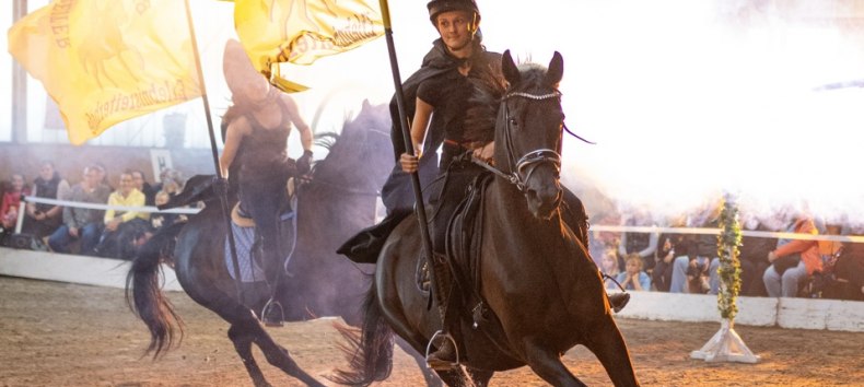 Bernsteinreiter Pferdeshow // &copy; DE