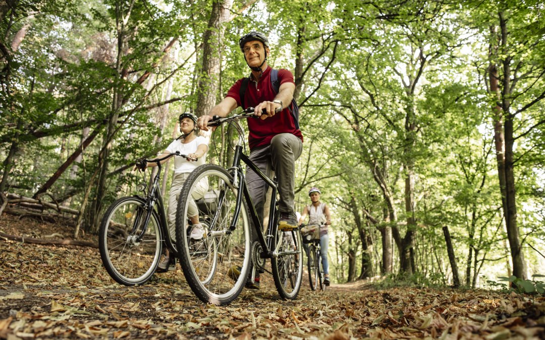 Radtour, &copy; Stadt Neustrelitz / Raiko Zunk