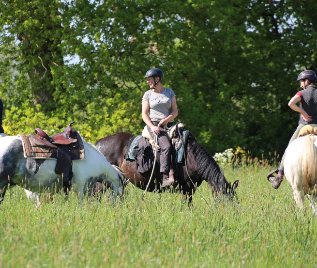 Gem&uuml;tlicher Ausritt zur Rapsbl&uuml;te // &copy; ART.Quartier/Anne Hille