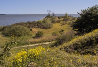 Blick auf das Naturschutzgebiet Gnitz // © Fotoarchiv Naturpark Insel Usedom Blick auf das Naturschutzgebiet Gnitz // © Fotoarchiv Naturpark Insel Usedom