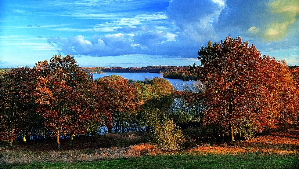 Betörendes Farbenspiel: Das Feldberger Seenland ist zu jeder Jahreszeit eine Reise wert // © MV-T/Grundner Betörendes Farbenspiel: Das Feldberger Seenland ist zu jeder Jahreszeit eine Reise wert // © MV-T/Grundner