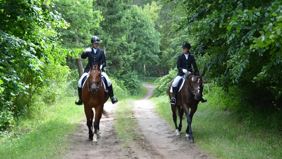 Ausreiten mit dem Reiterhof Groß-Stubben heißt vorallem Natur genießen // © Reit- und Fahrverein Poseritz e.V./ Thomas Krimmling Ausreiten mit dem Reiterhof Groß-Stubben heißt vorallem Natur genießen // © Reit- und Fahrverein Poseritz e.V./ Thomas Krimmling