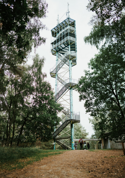 Müritz Nationalpark, © 1000seen.de Müritz Nationalpark, © 1000seen.de