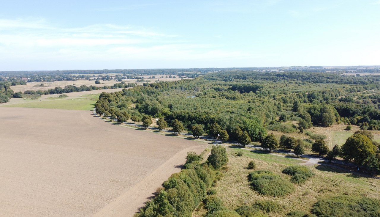 Klimaatbos Biosfeerreservaat Schaalsee, &copy; Landesforst MV