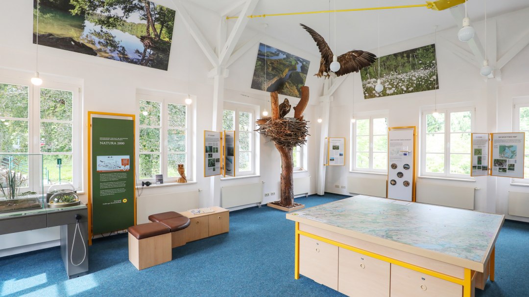 Naturparkausstellung zum Naturpark Feldberger Seenlandschaft im Haus des Gastes_1, © TMV/Gohlke