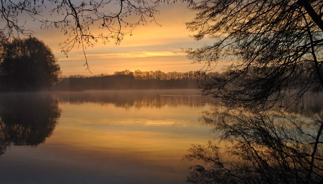 Am Ufer des Carwitzer See, © Ulrike Rosin