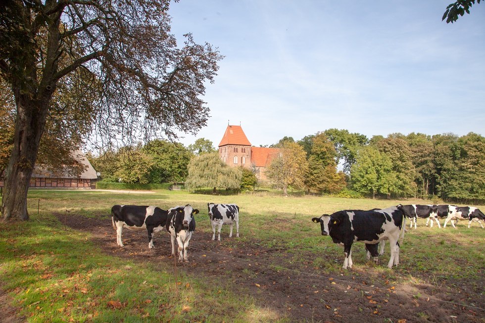 Die Kirche steht in wundersch&ouml;ner l&auml;ndlicher Umgebung. // &copy; Frank Burger