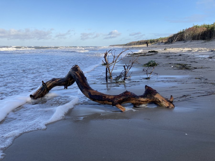 Weststrand, © Nationalparkamt Vorpommern