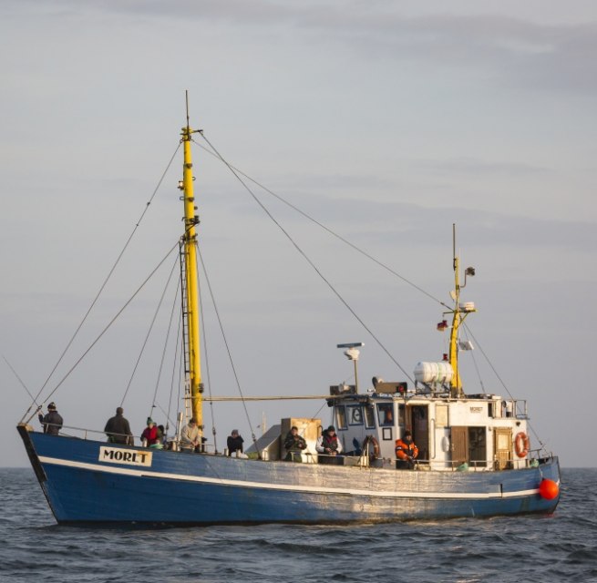 &copy; TMV/L&auml;ufer