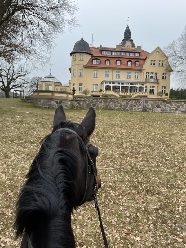 Bernsteinreitertag in Wendorf, © de Bernsteinreitertag in Wendorf, © de