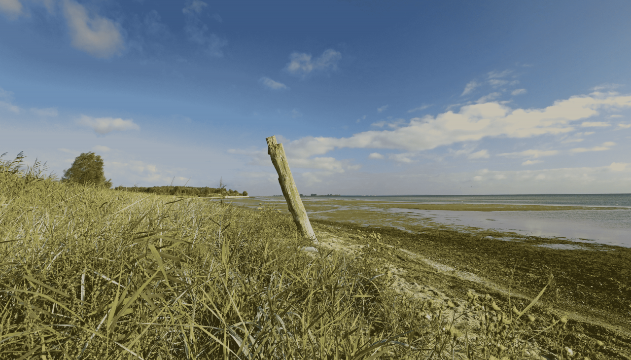 Naturstrand Wampen, © TMV/Gohlke Naturstrand Wampen, © TMV/Gohlke