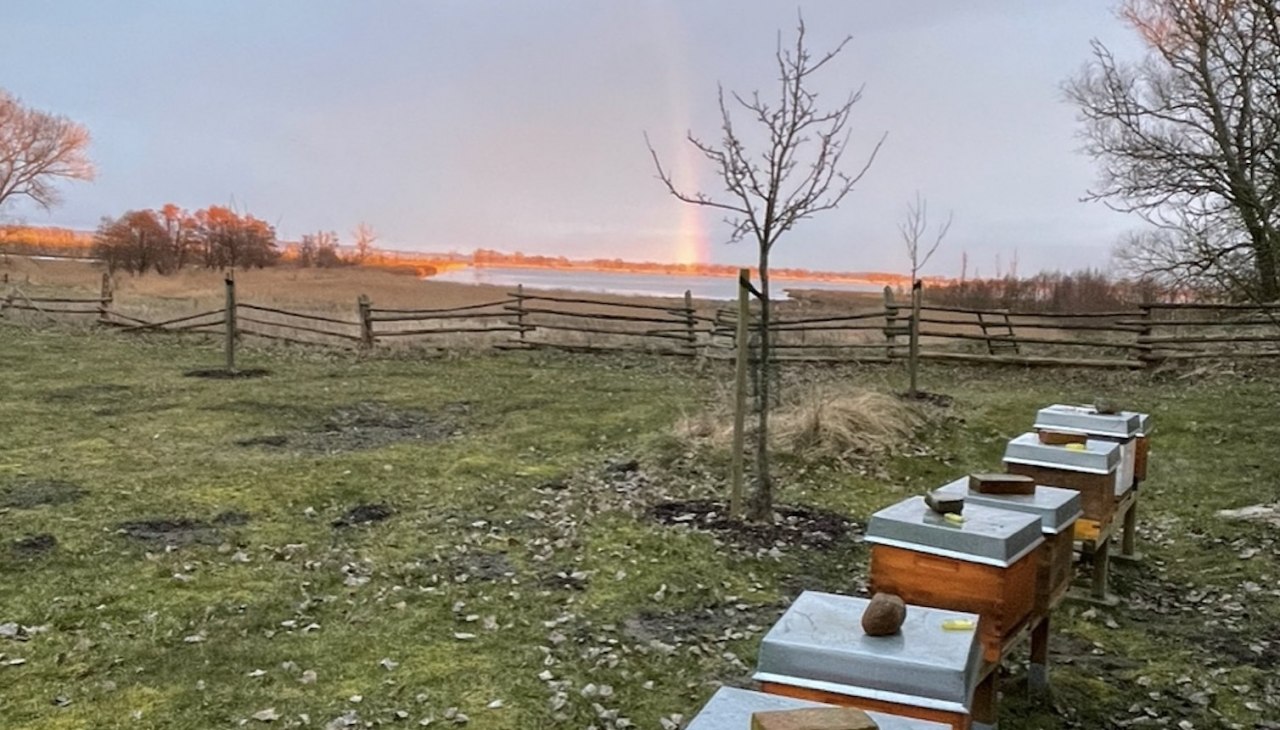 Morgenstimmung am Moor, © Peter Wittenberg Morgenstimmung am Moor, © Peter Wittenberg