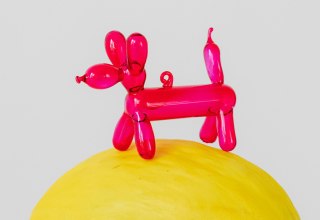 © Karola G / Pexels