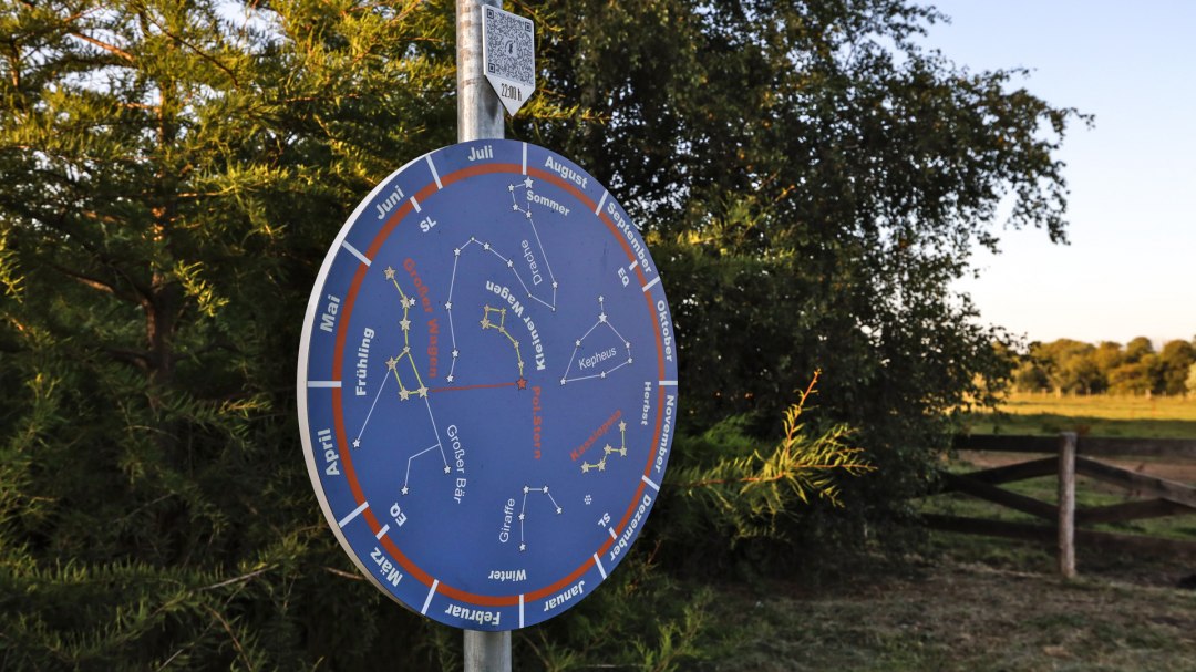 Gutspark Dalwitz_3, &copy; TMV/Gohlke