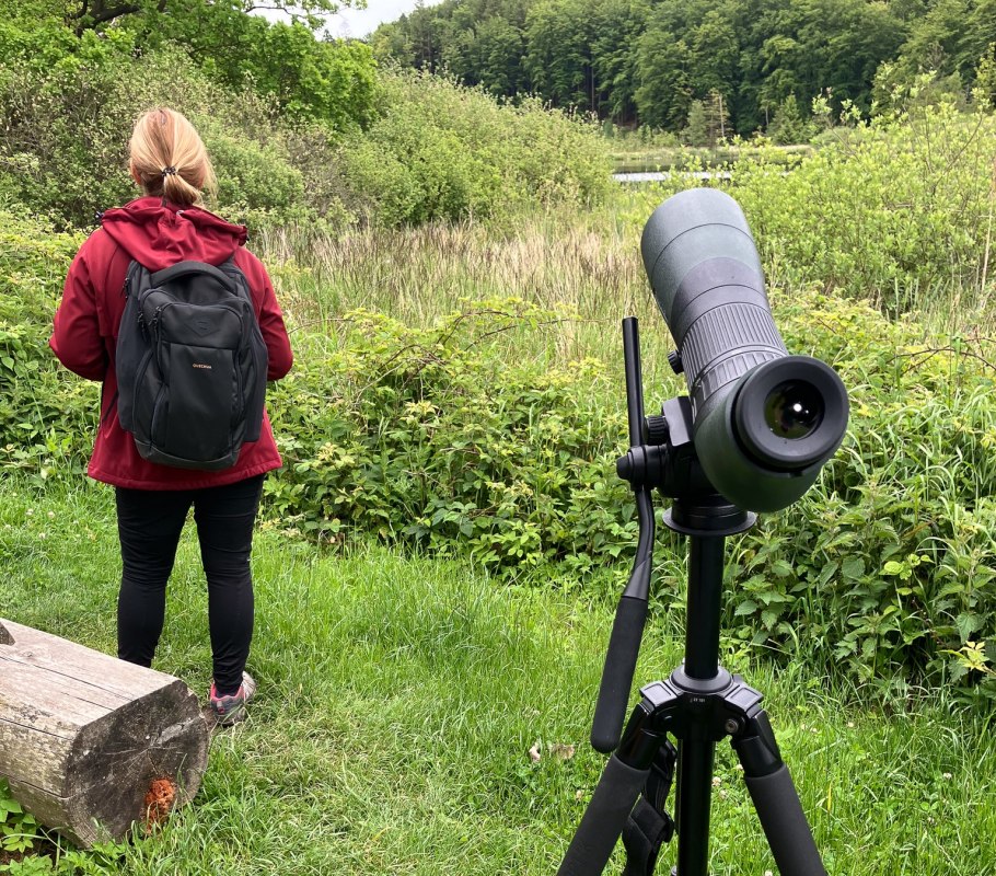Vogelstimmenwanderung, © Nationalpark-Zentrum KÖNIGSSTUHL Vogelstimmenwanderung, © Nationalpark-Zentrum KÖNIGSSTUHL