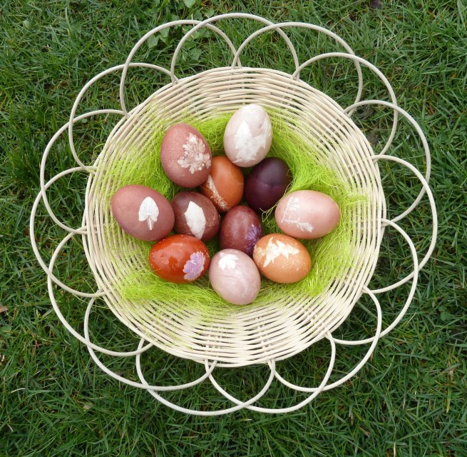 Mit Pflanzen und Pflanzenteilen gef&auml;rbte Eier. // &copy; LAKD M-V