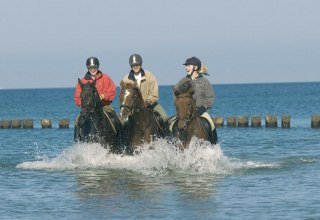 Ein erfrischender Ausritt durch die Ostsee stärkt Reiter- und Pferdegesundheit gleichermaßen., © Reitstall Stuthof