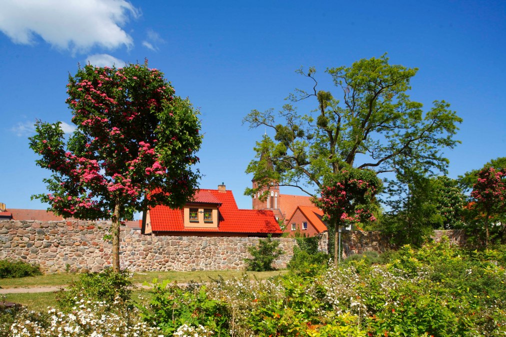Stadtmauer in Pasewalk, © Torsten Krüger Stadtmauer in Pasewalk, © Torsten Krüger