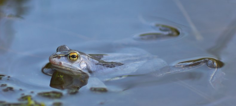 &copy; Stadtmarketing Ribnitz-Damgarten
