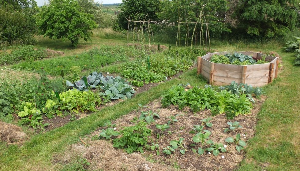 Verser kan niet: van de tuin rechtstreeks op je bord // © Martin Hagemann Verser kan niet: van de tuin rechtstreeks op je bord // © Martin Hagemann