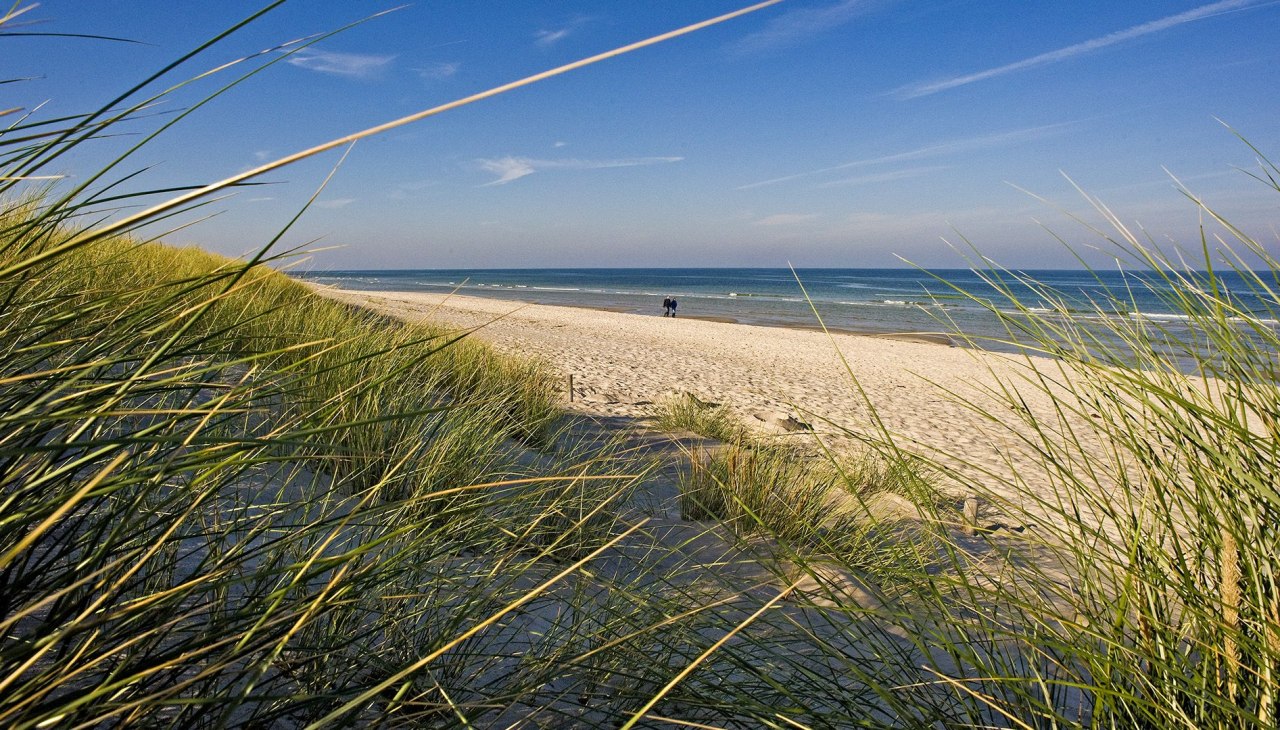 Blick auf den Prerow Strand, © ginkgomare Blick auf den Prerow Strand, © ginkgomare