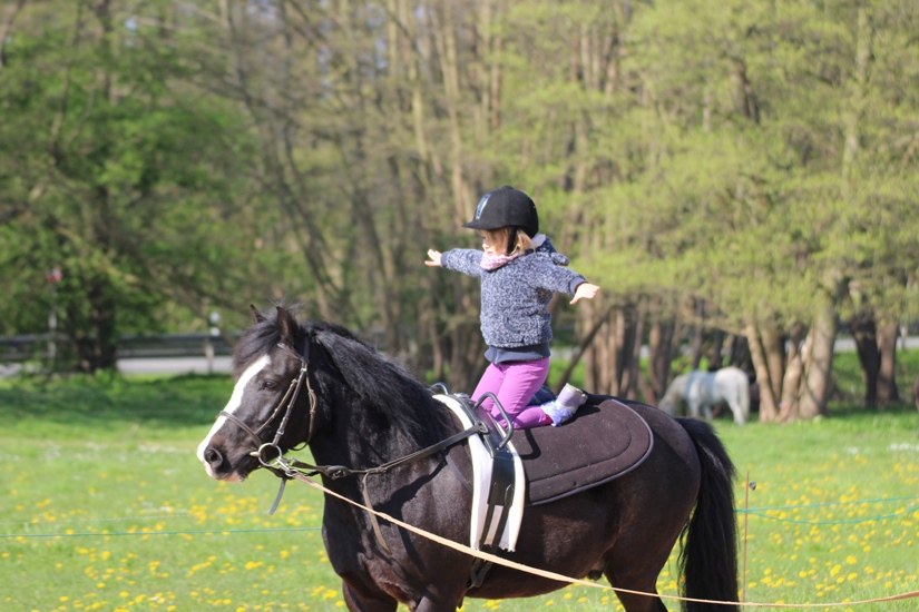 Voltigieren für alle kleinen Anfänger auf dem Pferdehof im Seebad Lubmin // © Pferdesport Brauns Voltigieren für alle kleinen Anfänger auf dem Pferdehof im Seebad Lubmin // © Pferdesport Brauns