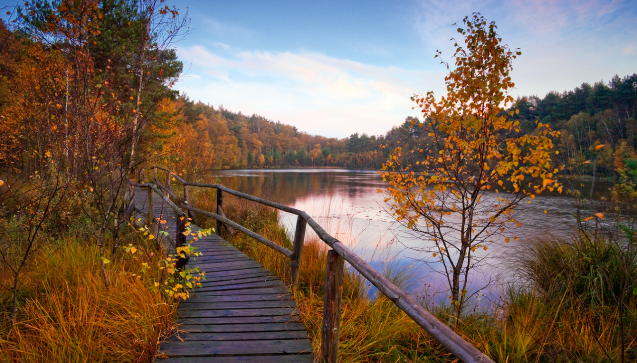 Müritz Nationalpark, © TMV/Allrich