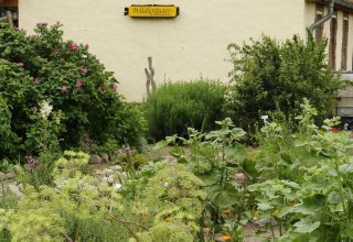 Wilde kruidentuin Völkshagen, © R. Kock Wilde kruidentuin Völkshagen, © R. Kock