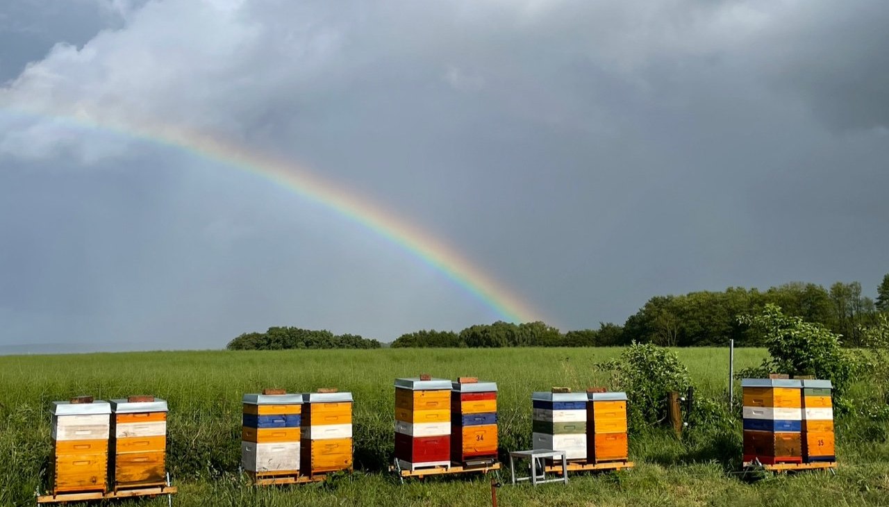 Gewitterstimmung am Peenestrom, © Peter Wittenberg Gewitterstimmung am Peenestrom, © Peter Wittenberg