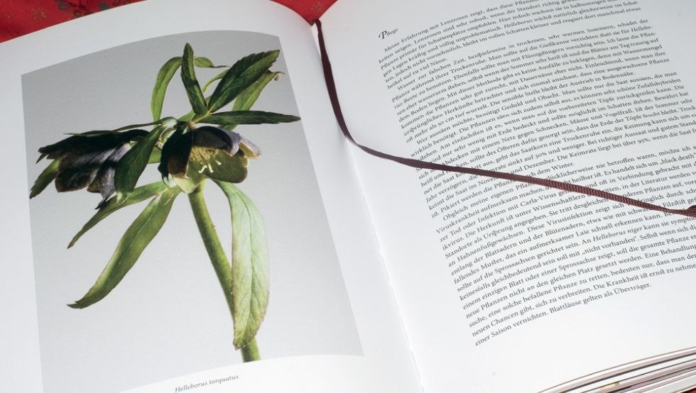 Auszug Buch, &copy; Christine Becker