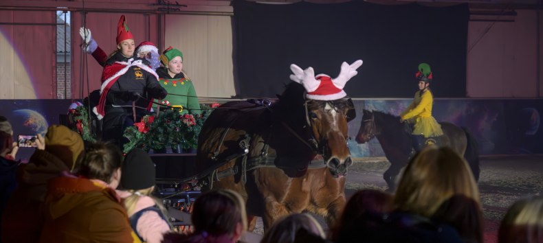 Weihnachtsmärchen Bernsteinreiter, &copy; DE