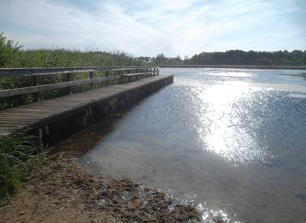 Neu Heindener See met zwemsteiger, © Mostro A.S. Hamburg Neu Heindener See met zwemsteiger, © Mostro A.S. Hamburg
